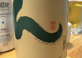 alt 1
