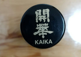 Kaika Check-in 3