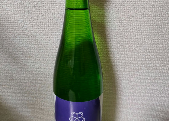 alt 1