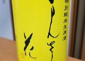 alt 3