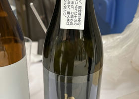 alt 1