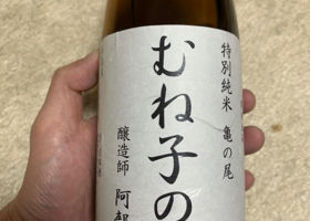 alt 1