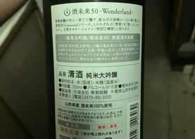 alt 3