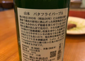 alt 2