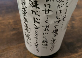 alt 3