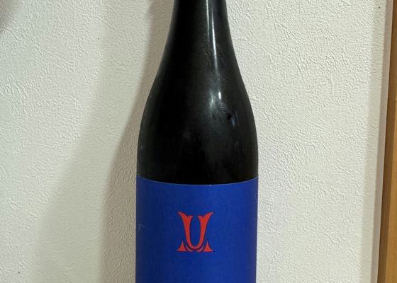 alt 1