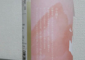 alt 2