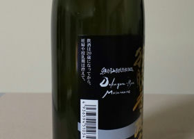 alt 3