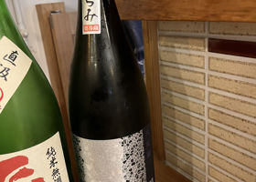alt 1
