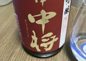 alt 1