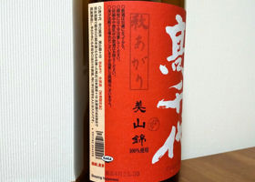alt 3