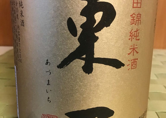 alt 1