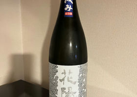 alt 1