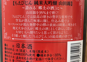 alt 3