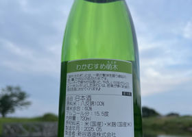 alt 2