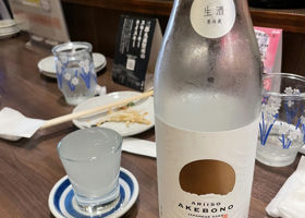 alt 1
