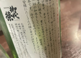 alt 3