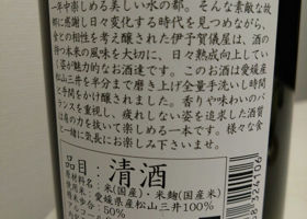 alt 2