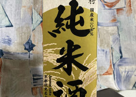 alt 1