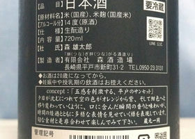 alt 3