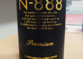 N-888 PREMIUM チェックイン 1