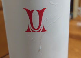alt 1