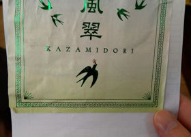 KAZAMIDORI Check-in 1