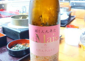 alt 1