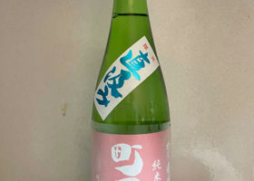 alt 1