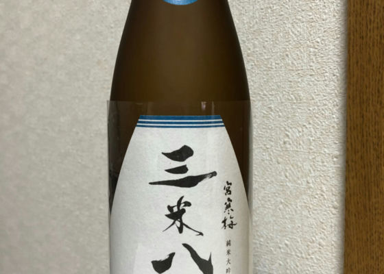 alt 1