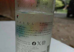 alt 2
