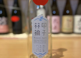 alt 1