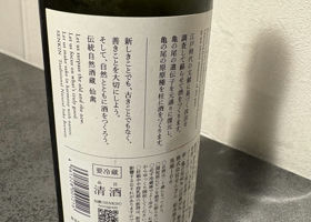 alt 3