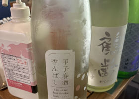 alt 1