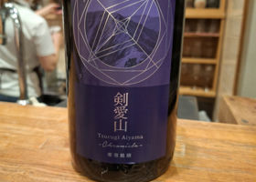 alt 1