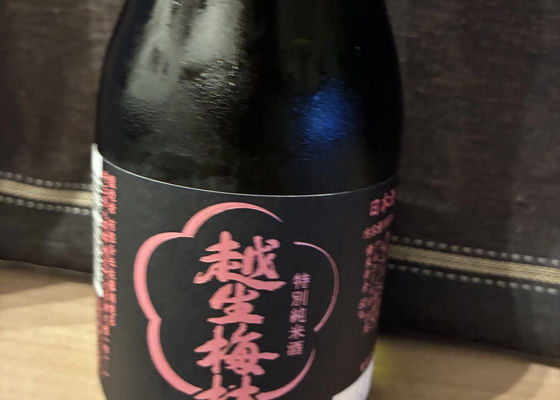 越生梅林 チェックイン 1