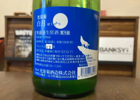 alt 2