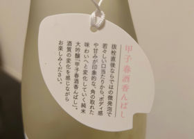 alt 1