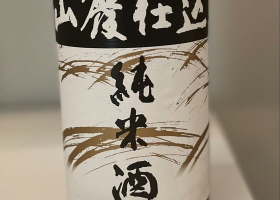 alt 1