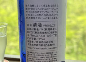 alt 3