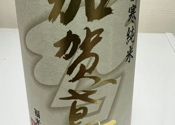 alt 1
