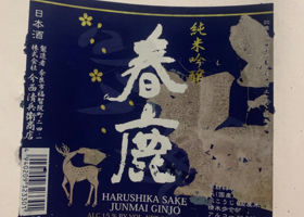 Harushika Check-in 2