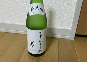 alt 1