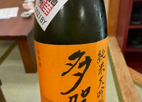 alt 1