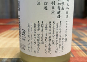 alt 3