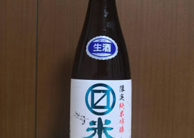alt 3