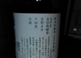 alt 3