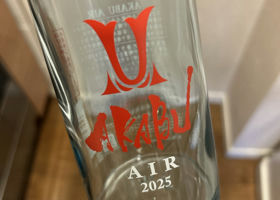 alt 1