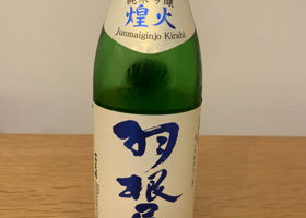 alt 1