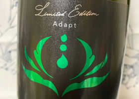 alt 1